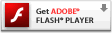 Adobe Flash player button